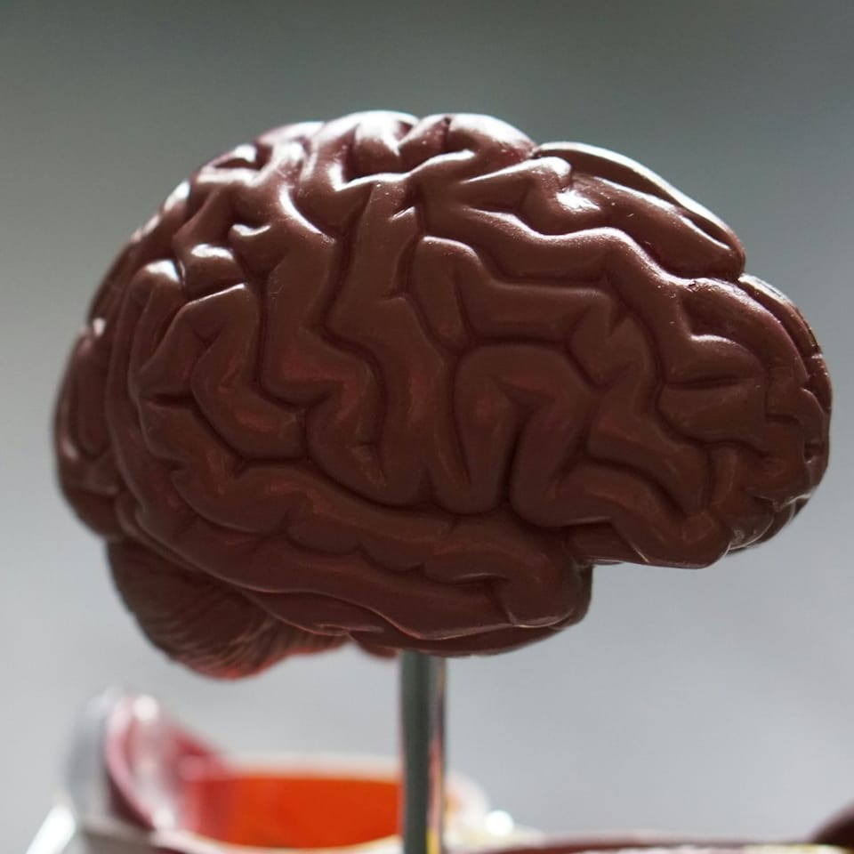 Visual thinking - Neat, plausible and wrong